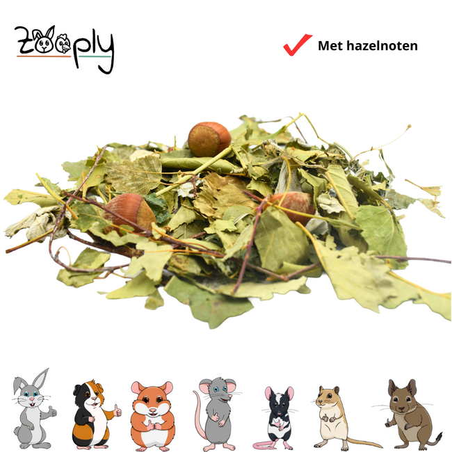 Zooply Forest Mix with Hazelnuts - 100 grams