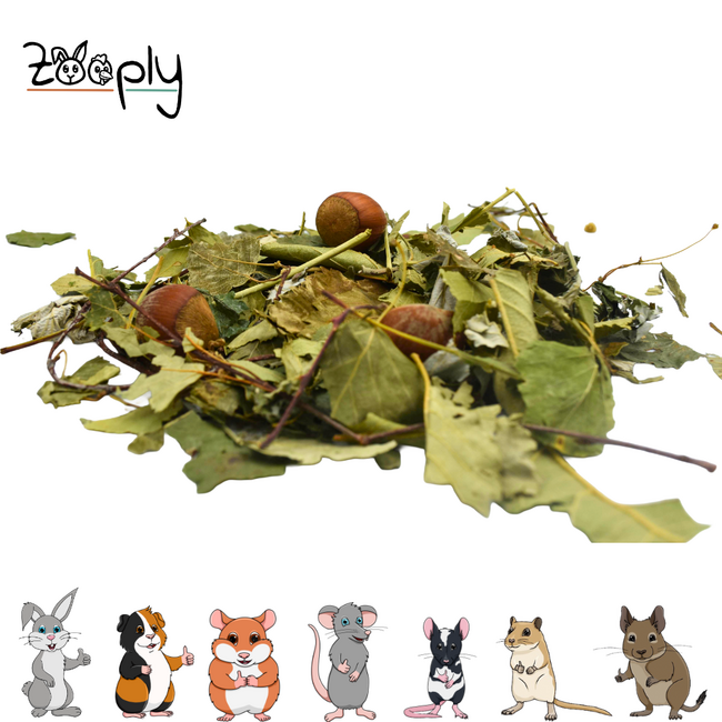 Zooply Forest Mix with Hazelnuts - 100 grams