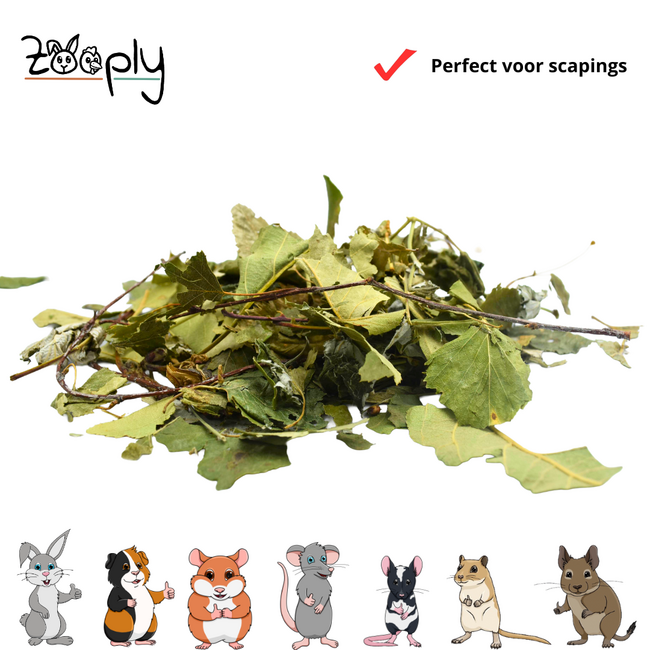 Zooply Forest Mix - 100 grams
