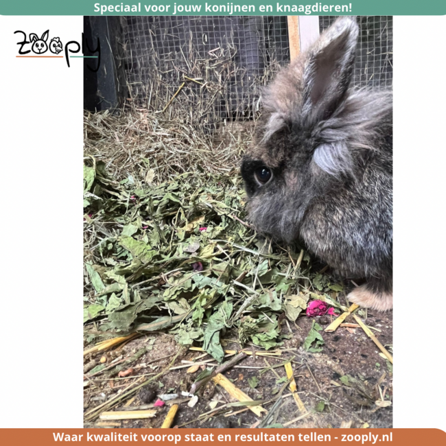 Zooply Blad en Kruidenmix - Verschillende gedroogde bladeren en kruiden voor konijnen en knaagdieren - Gezonde snack