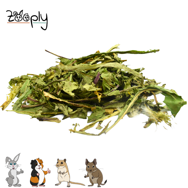Zooply Dandelion Leaf - Dried leaves for rabbits and rodents - Healthy snack