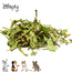 Zooply Paardenbloemblad - Gedroogd(e) blad voor konijnen, cavia's en knaagdieren - 300 gram