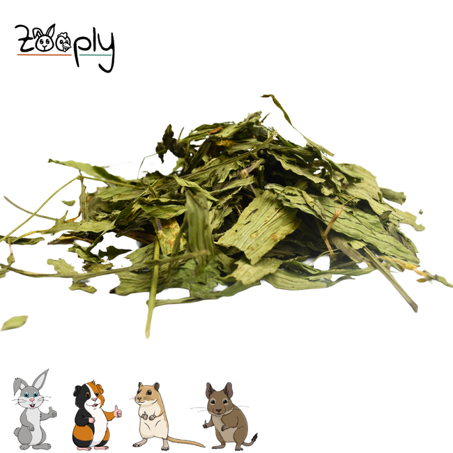 Zooply Smalle Weegbree - Gedroogd(e) blad voor konijnen, cavia's en knaagdieren - 350 gram