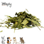 Zooply Narrowleaf plantain