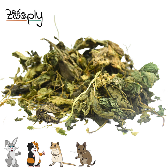 Zooply Brandnetelblad - Gedroogd(e) blad voor konijnen, cavia's en knaagdieren - 350 gram