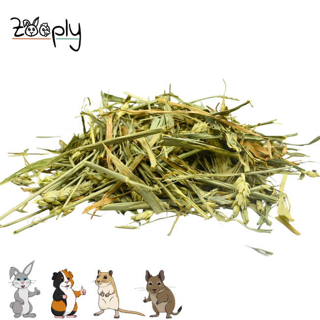 Zooply Green Oats - Dried herbs for rabbits and rodents - Healthy snack