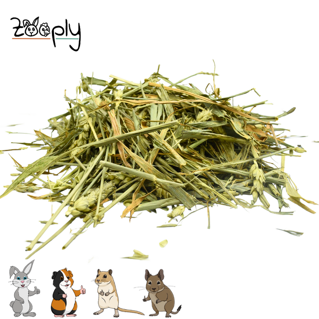 Zooply Green Oats - Dried herbs for rabbits and rodents - Healthy snack