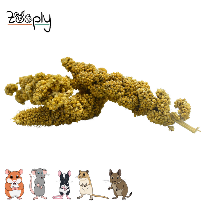 Zooply Trostgierst Stukjes - Natural Snack for Rabbits, Guinea Pigs and Small Rodents - 125 grams