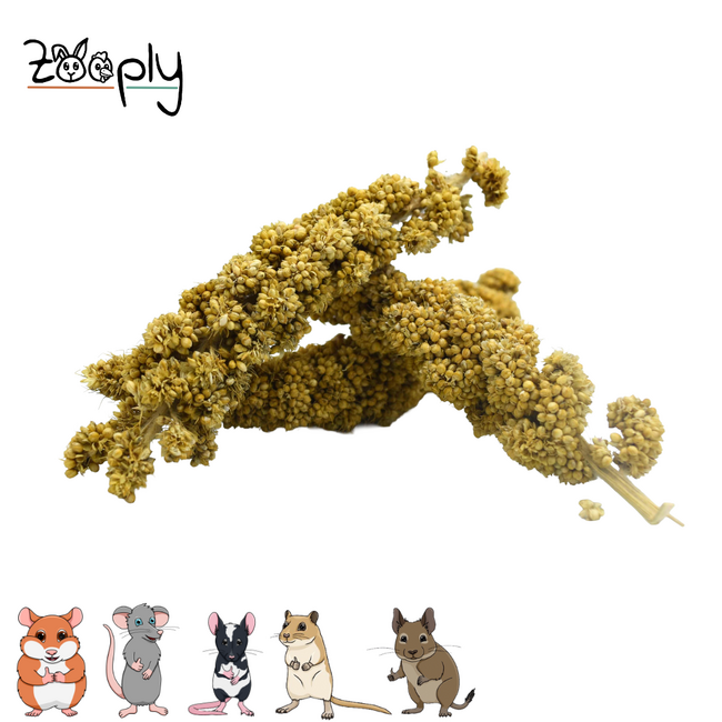 Zooply Trostgierst Stukjes - Natural Snack for Rabbits, Guinea Pigs and Small Rodents - 125 grams