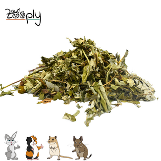 Zooply Frambozenblad - 350 gram