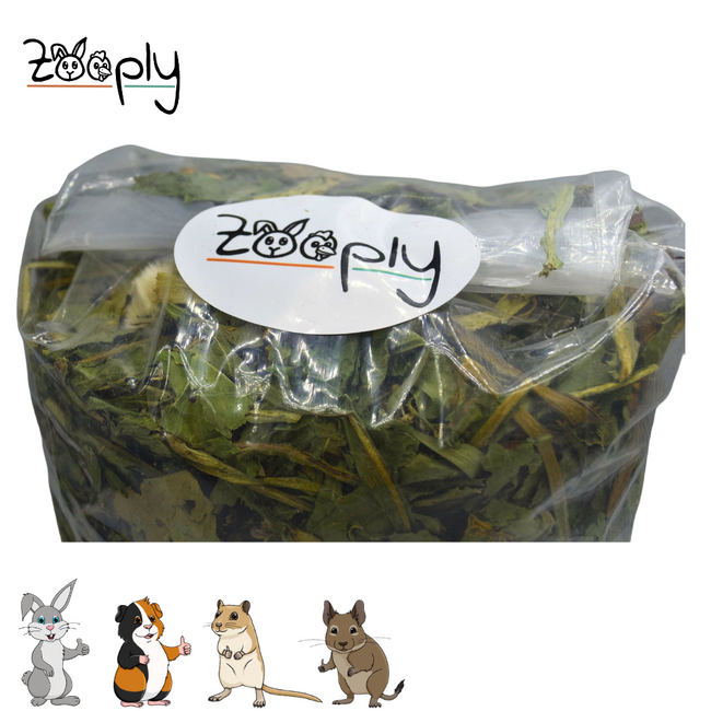 Zooply Raspberry Leaf - Dried leaves for rabbits and rodents - Healthy snack