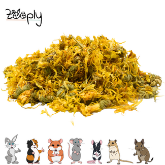 Zooply Goudsbloem - 375 gram