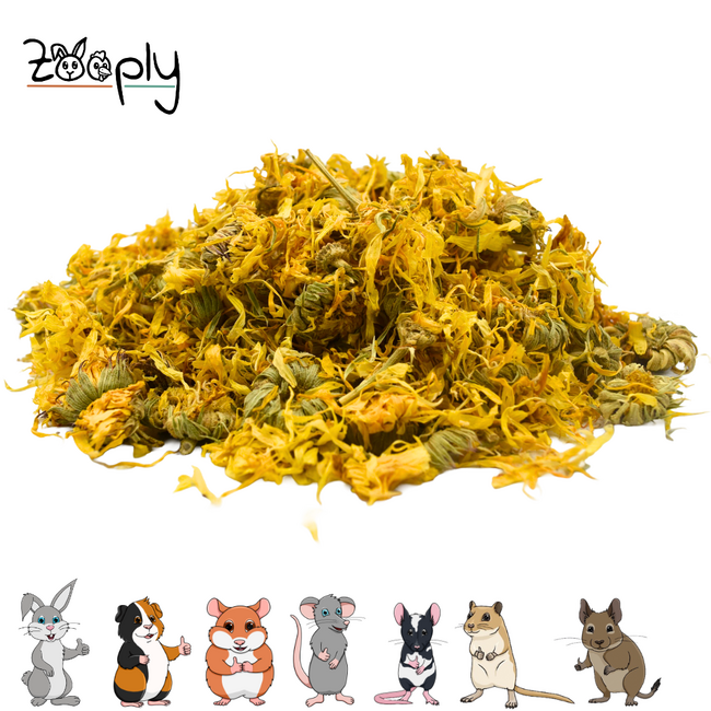 Zooply Marigold - Dried flowers for rabbits and rodents - Healthy snack