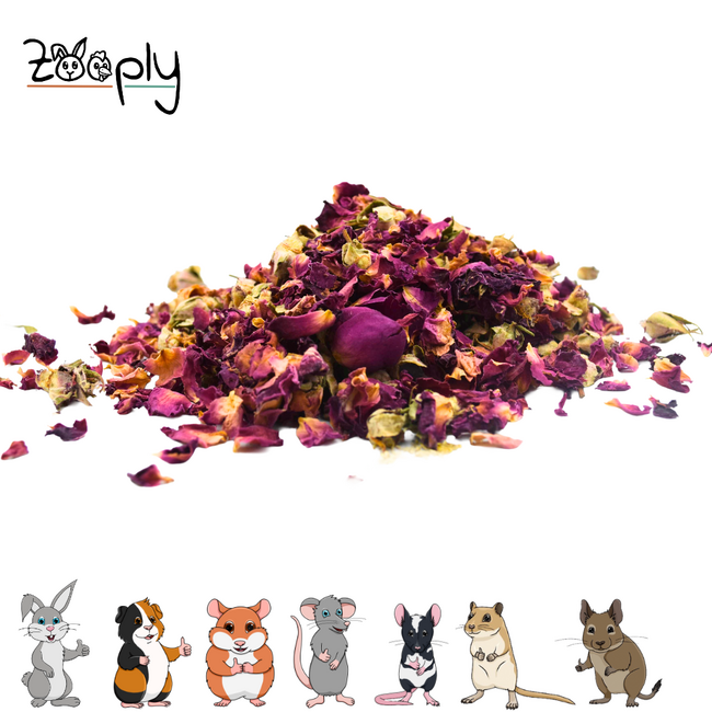 Zooply Rose Flower Buds - Dried flowers for rabbits and rodents - Healthy snack