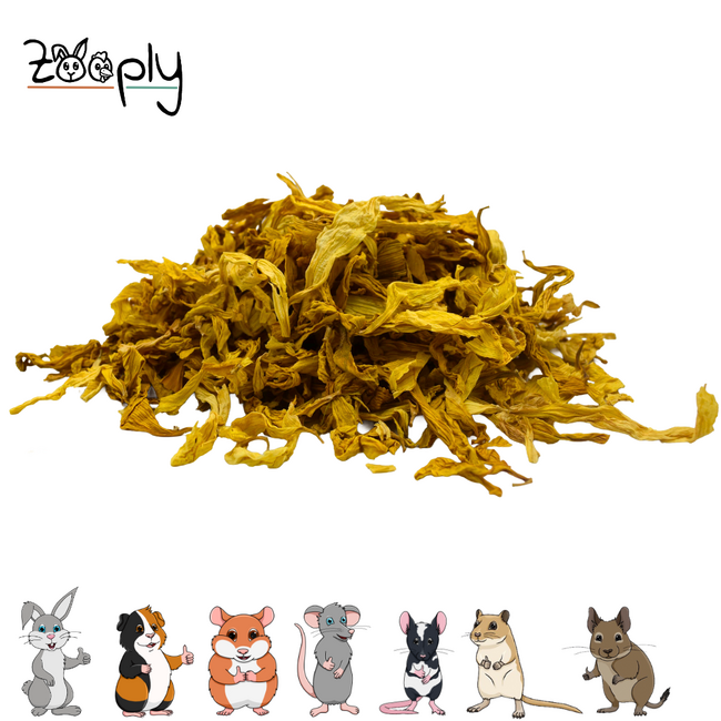 Zooply Sunflower Petals - Dried Flower for Rabbits, Guinea Pigs and Rodents - 150 grams