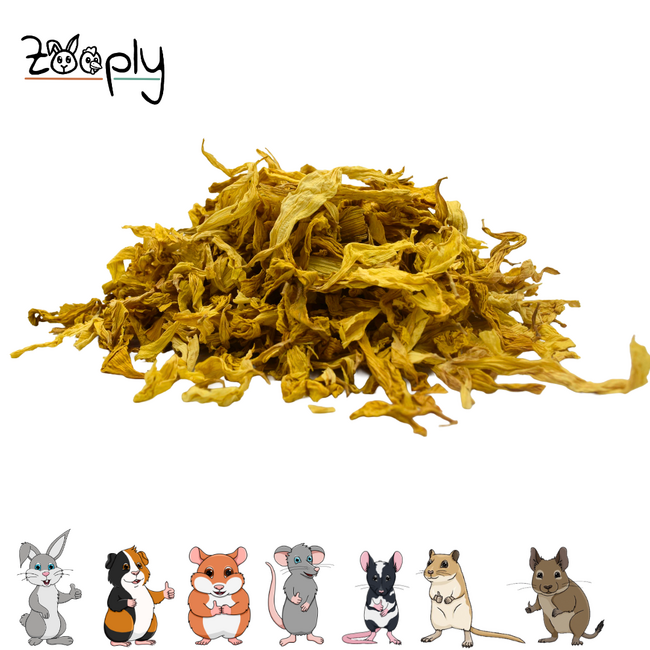 Zooply Sunflower Petals - Dried flowers for rabbits and rodents - Healthy snack - 150 grams