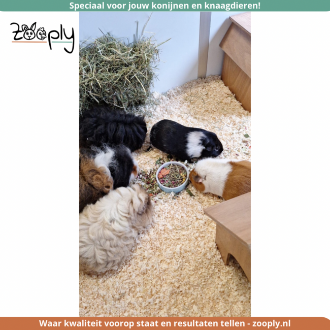 Zooply Zomerdroom - Gedroogde kruiden voor konijnen en cavia’s - 750 gram