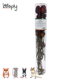 Zooply Strawflower – Red - 70 grams
