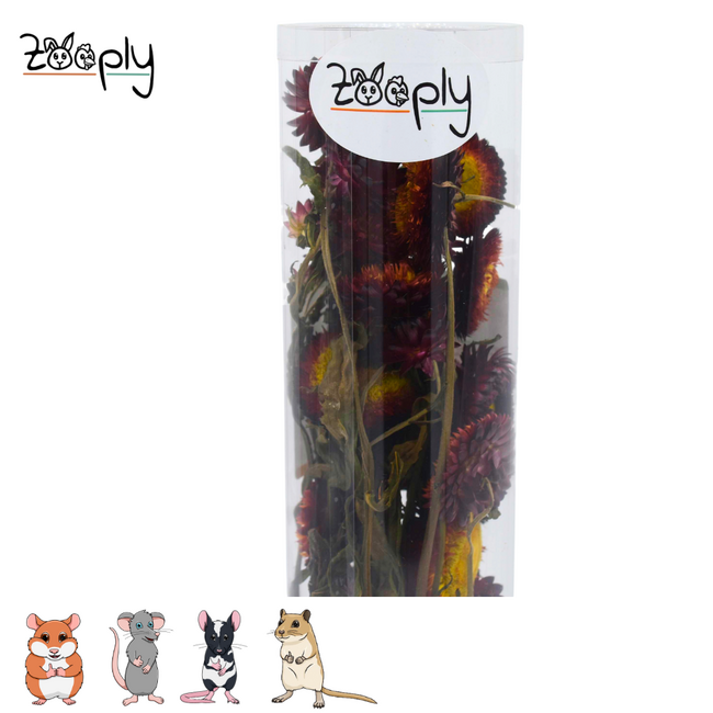 Zooply Strobloem Rood - Droogbloemen voor hamsters en andere knaagdieren - 70 gram