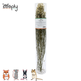 Zooply Lamsoor - White – 70 grams