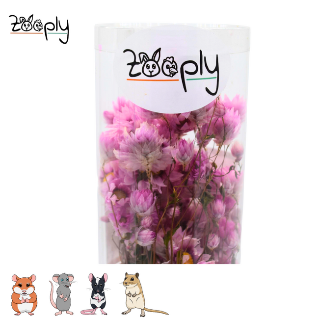 Zooply Madeliefje Roze - Droogbloemen voor hamsters en andere knaagdieren - 70 gram