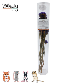 Zooply Sea lavender – Dark Violet - 70 grams