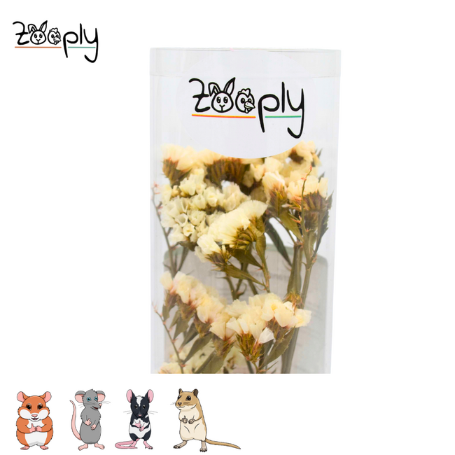 Zooply strandlavendel wit – gedroogde bloemen en grassen voor hamsters en andere knaagdieren – 70 gram