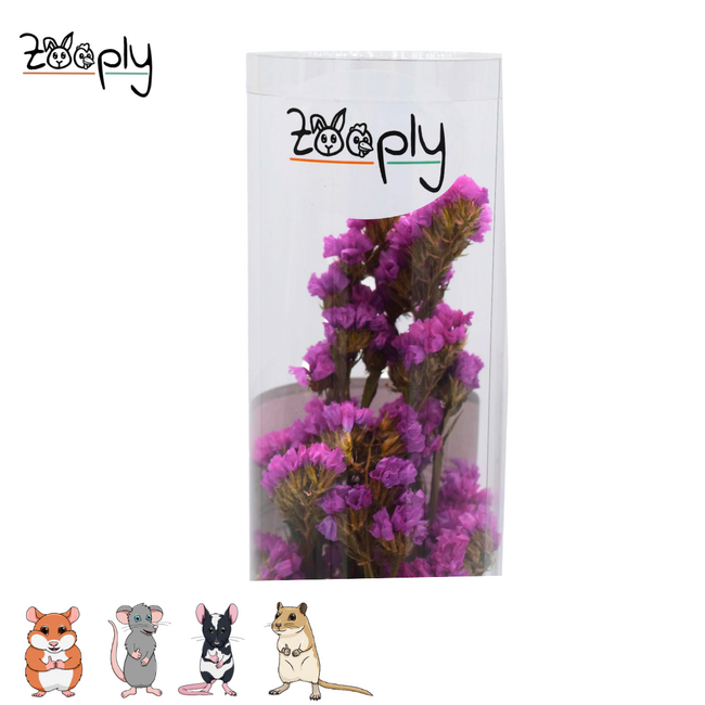 Zooply pink sea lavender – dried flowers and grasses for hamsters and other rodents – 70 grams