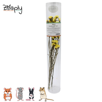 Zooply Strandlavendel – Geel - 70 gram