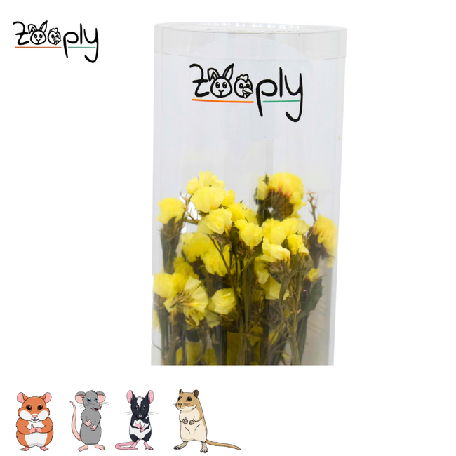 Zooply Strandlavendel - Geel – Gedroogde bloemen en grassen voor hamsters en andere knaagdieren - 70 gram