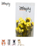 Zooply Strandlavendel Geel - Droogbloemen voor hamsters en andere knaagdieren - 70 gram