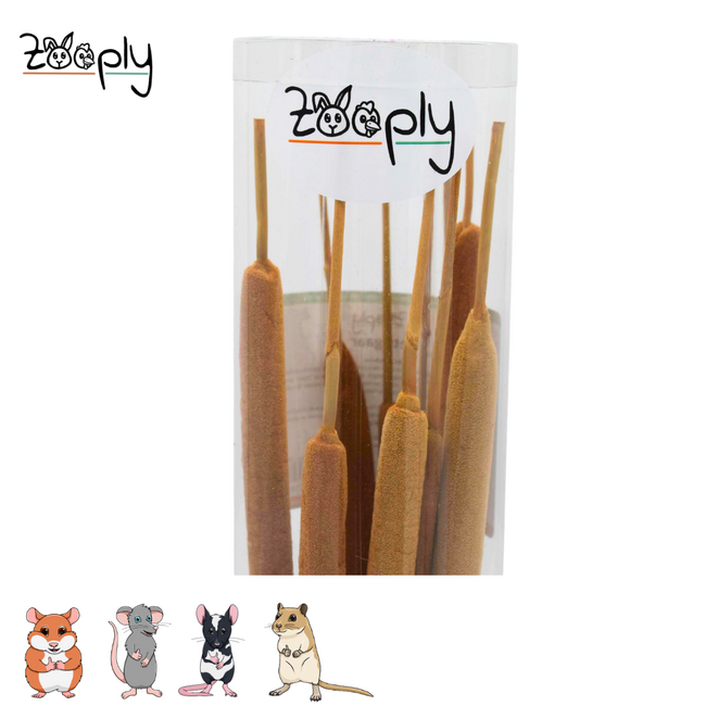 Zooply Reed Cigar – Dried flowers and grasses for hamsters and other rodents - 10 pieces