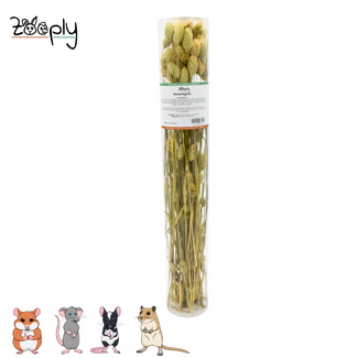 Zooply Kanariegras – 100 gram