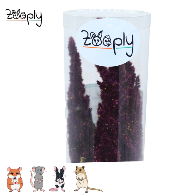 Zooply amarant rood– gedroogde bloemen en grassen voor hamsters en andere knaagdieren – 70 gram