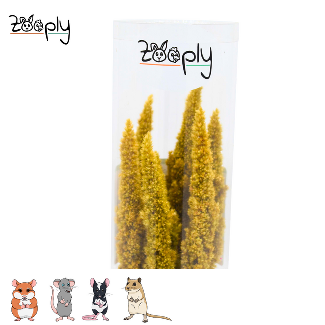 Zooply amarant groen – gedroogde bloemen en grassen voor hamsters en andere knaagdieren – 70 gram