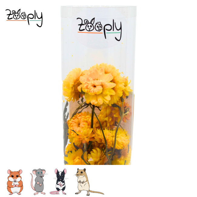 Zooply Strobloem Geel - Droogbloemen voor hamsters en andere knaagdieren - 70 gram