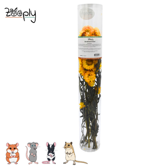 Zooply Strobloem – Geel – 70 gram
