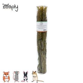 Zooply Millet grass – 100 grams