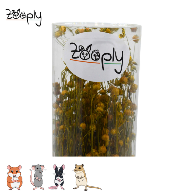 Zooply Lijnzaadplant - Droogbloemen voor hamsters en andere knaagdieren - 110 gram