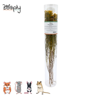 Zooply Brembloesem – 70 gram