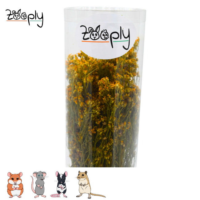 Zooply Broom Blossom - Dried Flowers for Hamsters and Other Rodents - 70 grams