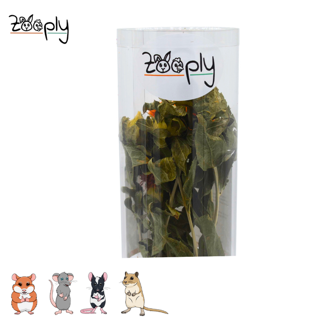 Zooply Muurbloem - Droogbloemen voor hamsters en andere knaagdieren - 70 gram