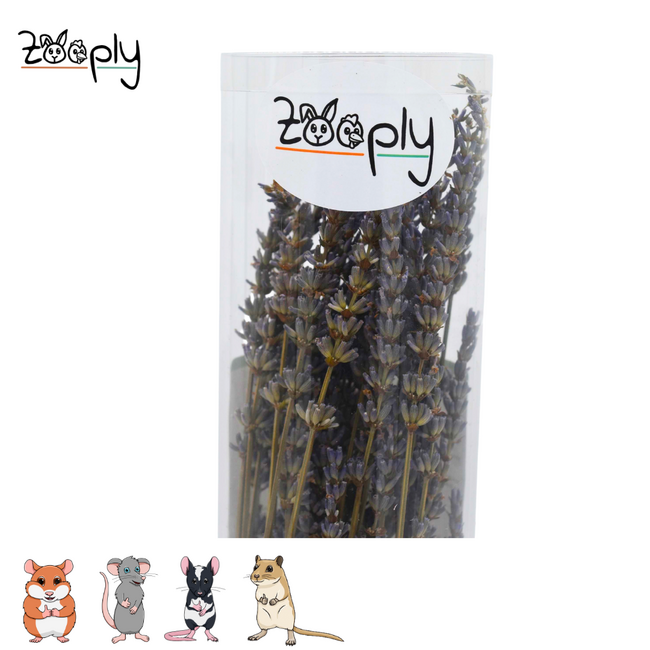 Lavendel – 70 gram