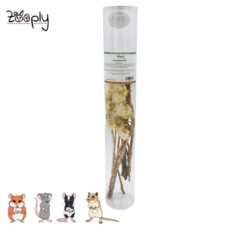 Zooply Strobloem – Wit – 70 gram