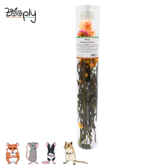 Zooply Strobloem – Licht roze - 70 gram