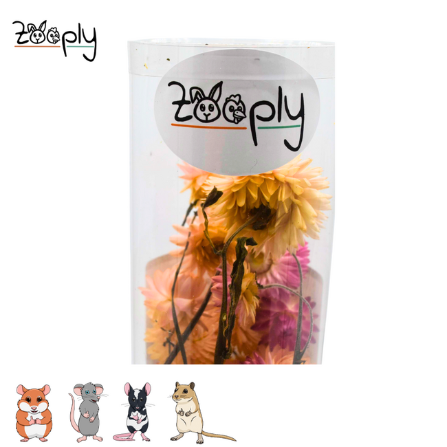 Zooply strawflowers light pink – dried flowers and grasses for hamsters and other rodents – 70 grams
