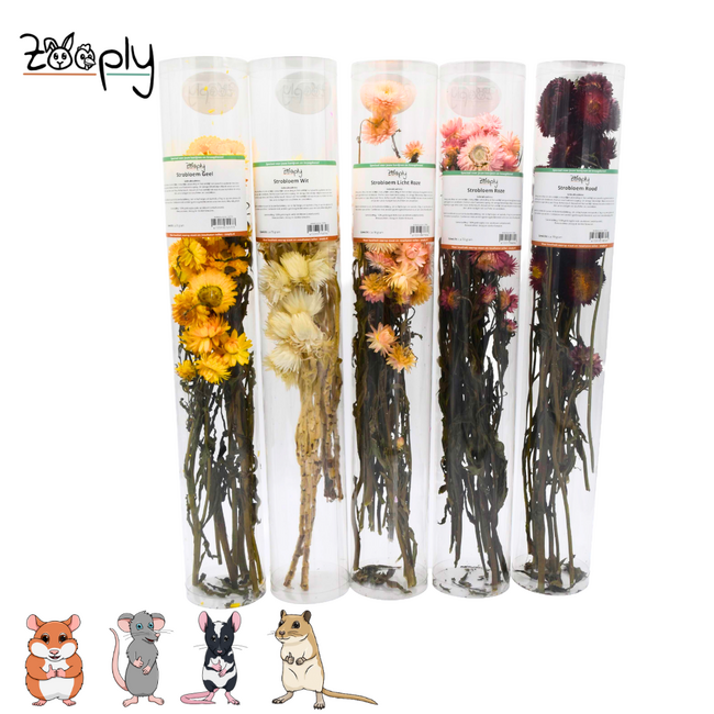 Zooply red strawflowers – dried flowers and grasses for hamsters and other rodents – 70 grams