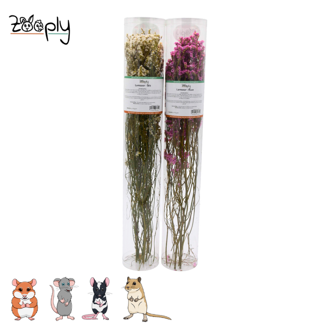 Zooply lamsoor roze – gedroogde bloemen en grassen voor hamsters en andere knaagdieren – 70 gram