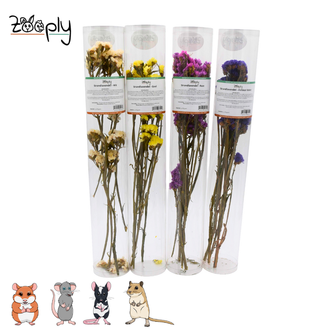 Zooply strandlavendel roze – gedroogde bloemen en grassen voor hamsters en andere knaagdieren – 70 gram