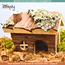 Zooply Stone Moss - Dried Flowers for Hamsters and Other Rodents - 75 grams